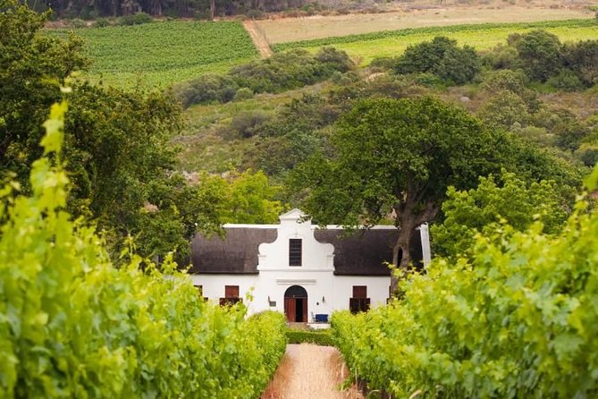 Cape Winelands and Wine Tasting Full Day Tour - Eikenhof offers a smaller family-farm feel