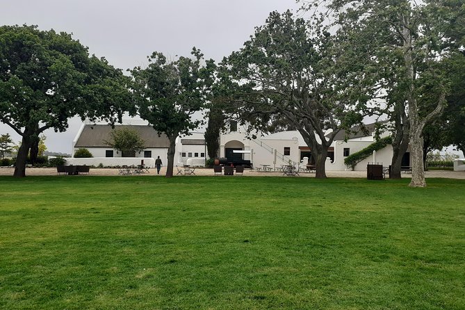 Cape Winelands and Wine Tasting Full Day Tour - Marianne brings Stellenbosch wine and biltong