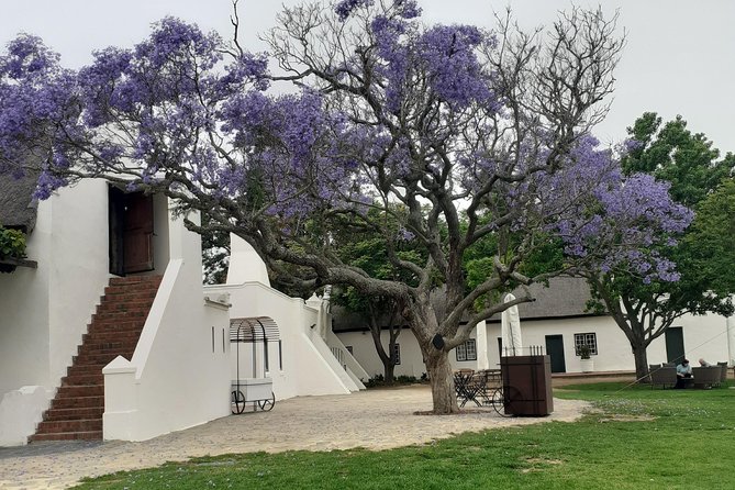 Cape Winelands and Wine Tasting Full Day Tour - What the guide adds to the day