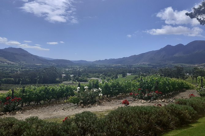 Cape Winelands and Wine Tasting Full Day Tour - Price, extra costs, and what you receive