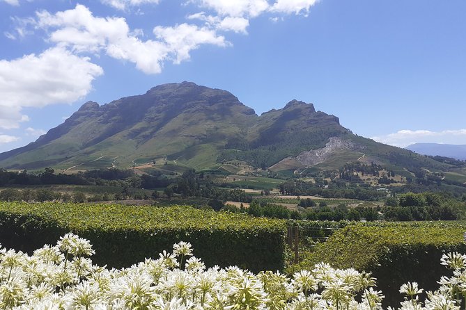 Cape Winelands and Wine Tasting Full Day Tour - Franschhoek adds food, French roots, and free time