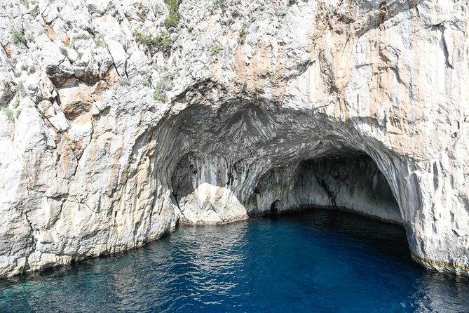 Capri and Anacapri Guided Tour with Limoncello Tasting from Capri - Capri town, the Gardens of Augustus, and shopping time