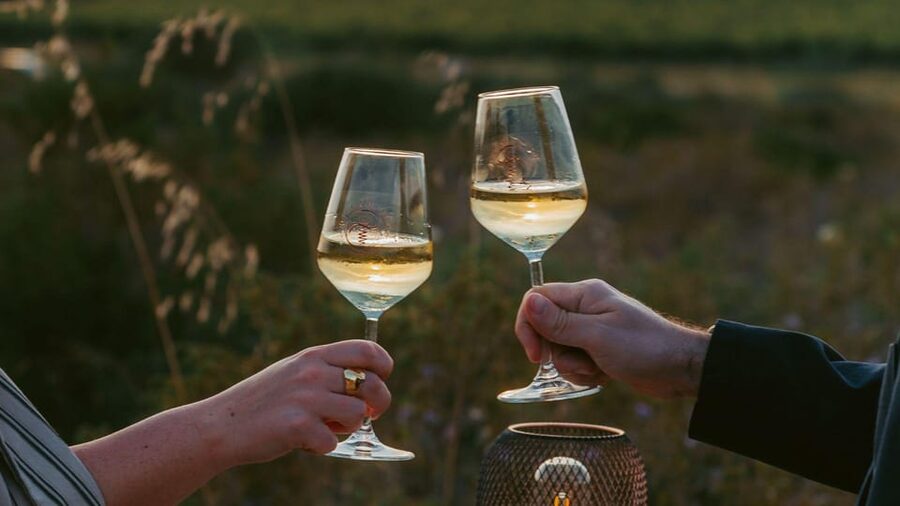 Castelsardo: visit a vineyard with wine tasting at sunset - Walking through the vines with Giovanni