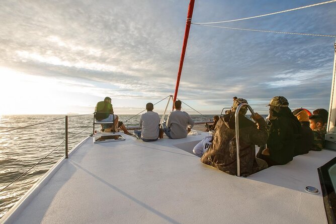 Catamaran Sunset Champagne Cruise Cape Town - Boarding at Quay 5 requires extra attention