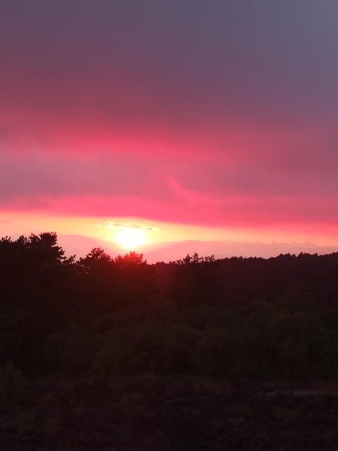 Catania: Mount Etna Sunset Trekking with Wine Tasting - Who will enjoy this Etna tour most?