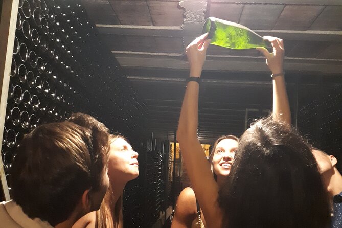 Cava tour to 3 family wineries with hotel pick-up - Key points before you book