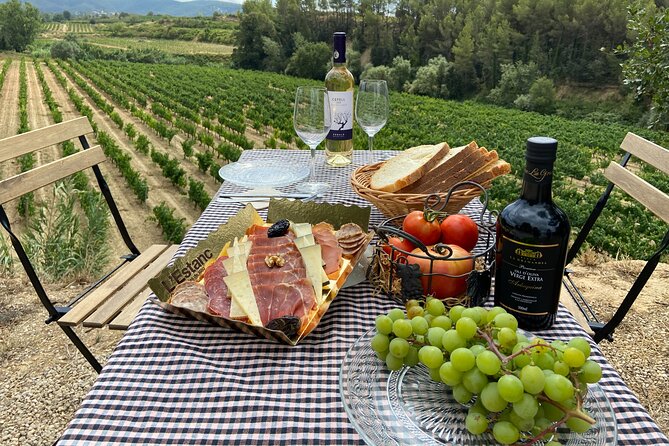 Cava tour to 3 family wineries with hotel pick-up - The small-group advantage