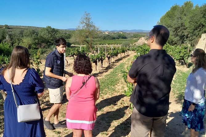 Cava tour to 3 family wineries with hotel pick-up - Food, timing, and practical comfort