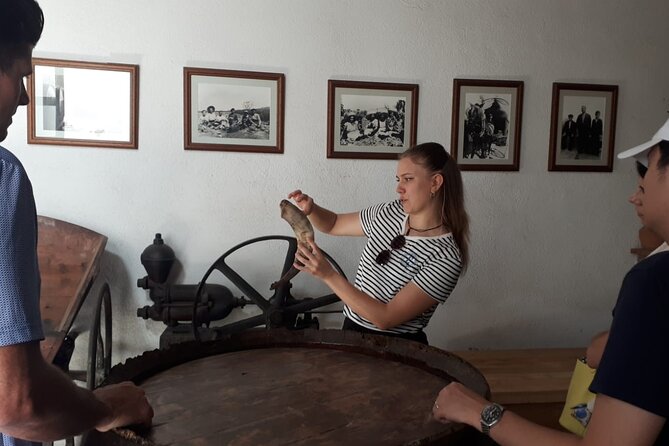 Cava tour to 3 family wineries with hotel pick-up - Artcava, a farmhouse introduction to cava