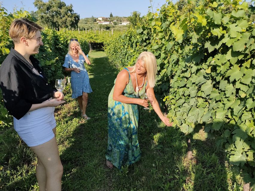 Cavaion: Lake Garda Wine & Food Tasting with Vineyard Tour - A small winery in the hills above Lake Garda