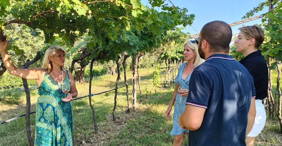 Cavaion: Lake Garda Wine & Food Tasting with Vineyard Tour - Under the grape arbor with a glass in hand