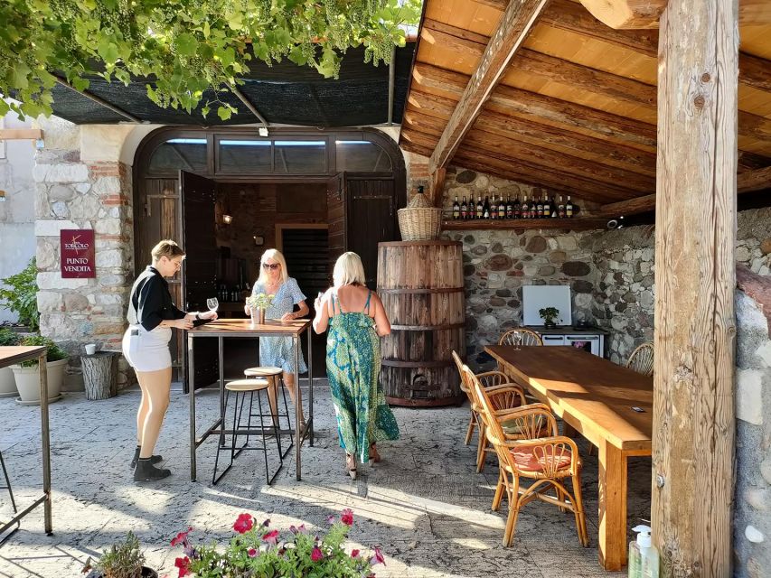 Cavaion: Lake Garda Wine & Food Tasting with Vineyard Tour - Getting there is the main practical issue
