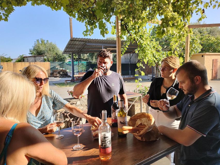 Cavaion: Lake Garda Wine & Food Tasting with Vineyard Tour - Is $41 a good value?