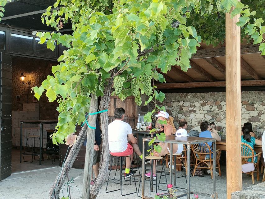 Cavaion: Lake Garda Wine & Food Tasting with Vineyard Tour - The vineyard walk: what you actually see