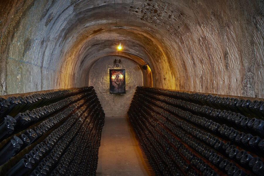 Champagne: Canard-Duchêne Champagne House Tour - Seeing the vineyards above ground