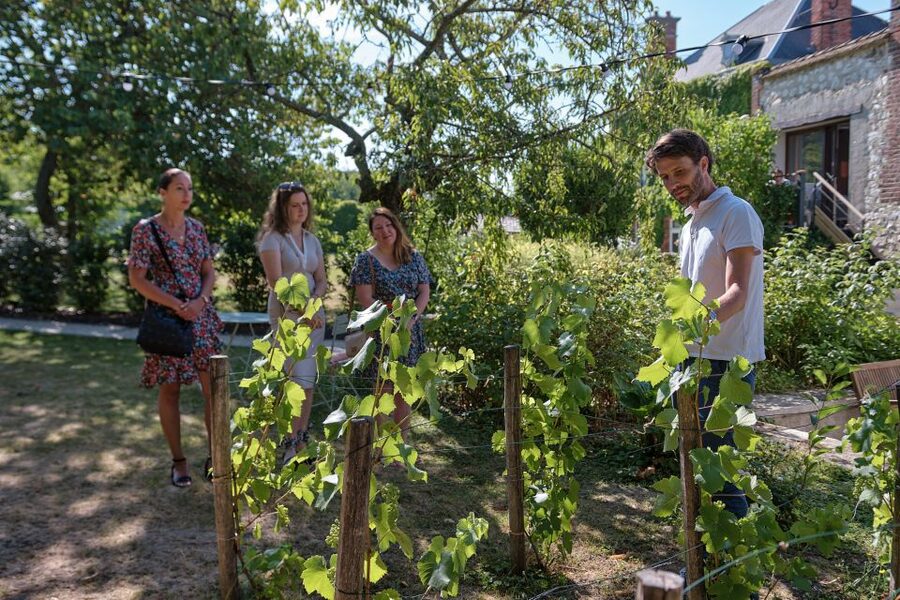 Champagne: Champagne Tasting Class with Lunch - Is $106 a good value?