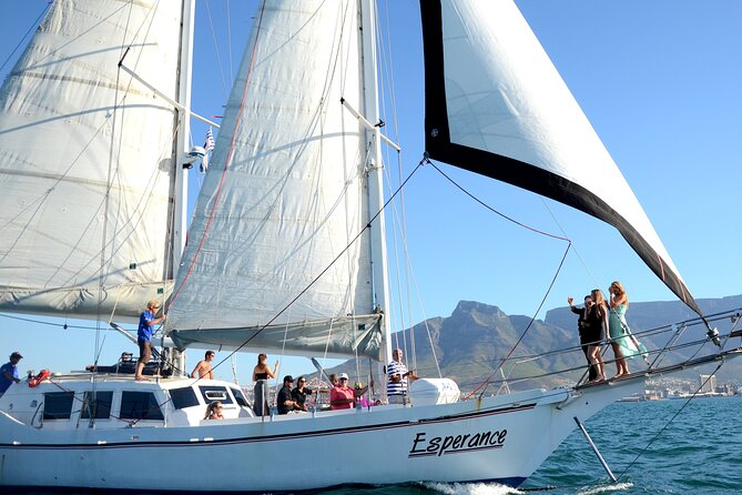 Champagne Cruise (Pre-Sunset) from Cape Town - Why the pre-sunset timing works so well