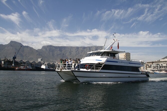 Champagne Cruise (Pre-Sunset) from Cape Town - Wind, waves, and comfort on the Atlantic