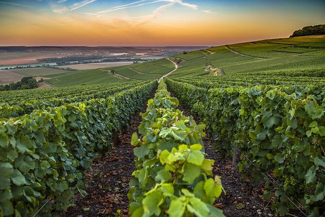 Champagne Day Trip from Reims including 9 Champagne Tastings - Épernay lunch and the Avenue de Champagne