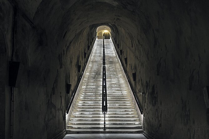 Champagne Day Trip from Reims including 9 Champagne Tastings - What the guides add to the day