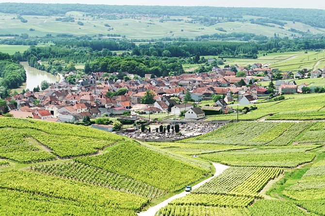 Champagne Day Trip with 6 Tastings, Reims and Winery from Paris - Rolling vineyards and the first lesson in Champagne grapes