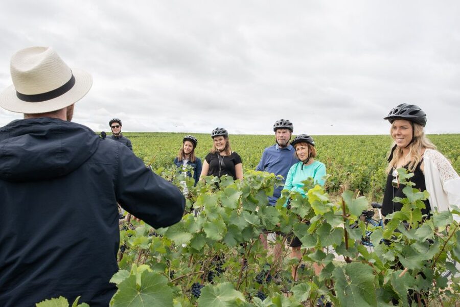 Champagne: E-Bike Champagne Day Tour with Tastings and Lunch - Small Group Size and Guide Quality