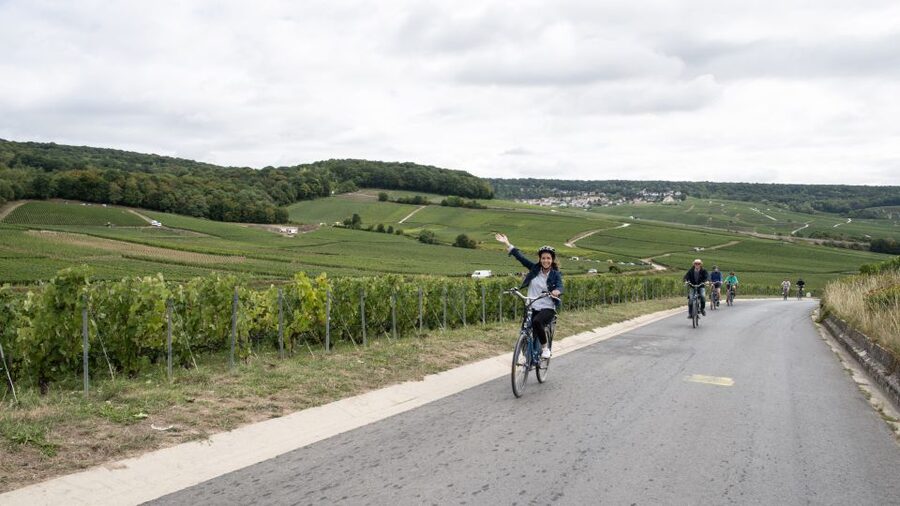 Champagne: E-Bike Champagne Day Tour with Tastings and Lunch - Rain Plans and Safety Limits
