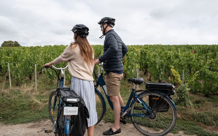 Champagne: E-Bike Champagne Day Tour with Tastings and Lunch - Is the $224 Price Fair?