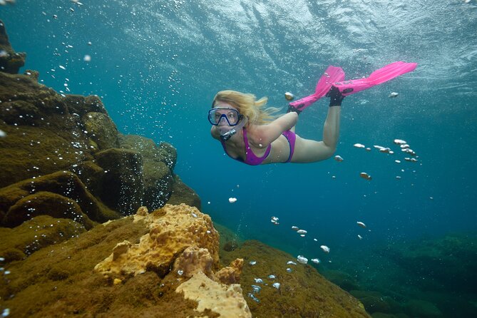 Champagne Reef, Bubble Beach and Scotts Head Snorkeling tour by boat in Dominica - A small boat makes the outing feel personal