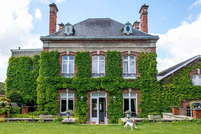 Champagne Tasting Class and Lunch near Epernay - The Champagne lesson makes tasting easier