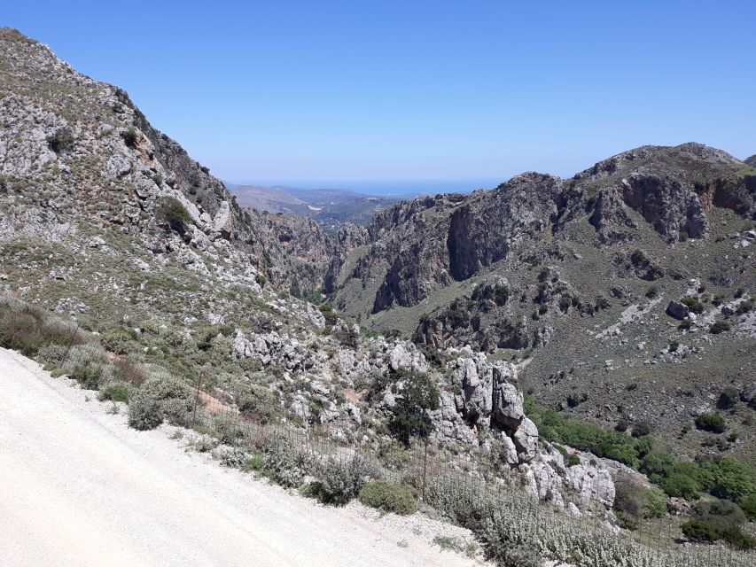 Chania: Milia Mountain Tour w/Lunch Olive Oil/Wine Tastings - Is the $176 price fair?