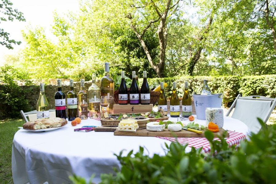 Château de Luc: Unique visit and wine tasting - The epic of the Midi wine region