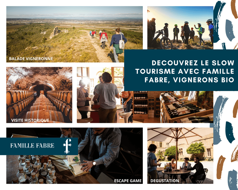 Château de Luc: Unique visit and wine tasting - Tasting organic wines from four regional categories