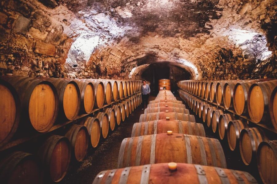 Château de Luc: Unique visit and wine tasting - Practical planning for your visit