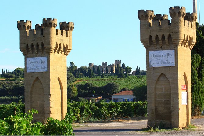 Châteauneuf du Pape Wine Day Tasting Tour including Lunch from Avignon - Lunch with a view, not just a meal break