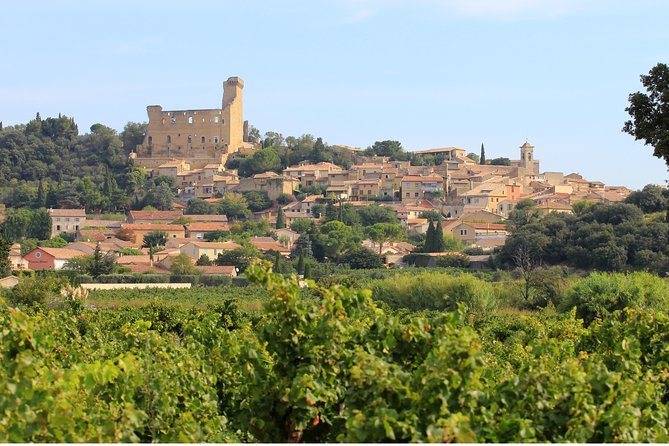Châteauneuf du Pape Wine Day Tasting Tour including Lunch from Avignon - The small-group tradeoff