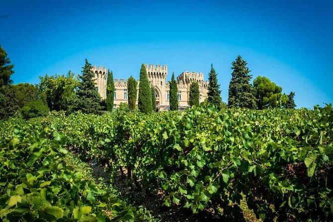 Chateauneuf du Pape wine tour - Stop two: a private château visit and tasting