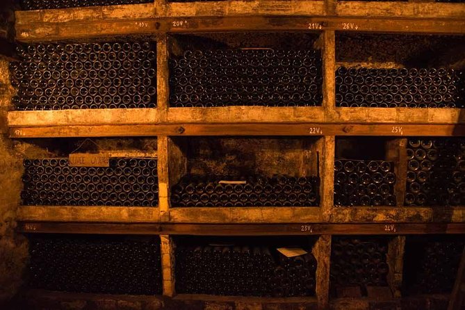 Chateauneuf du Pape wine tour - Stop one: understanding the Châteauneuf-du-Pape terroir