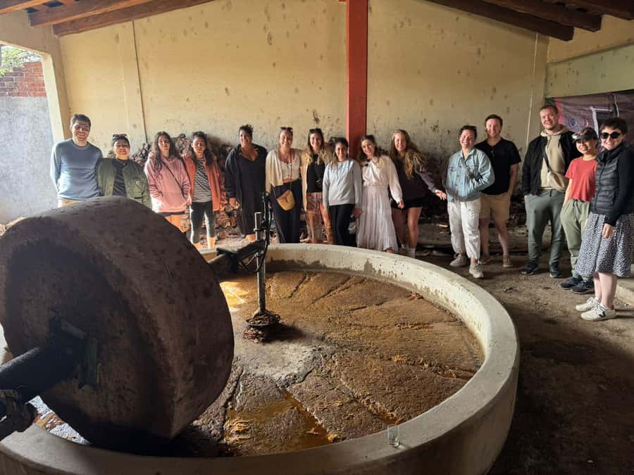 Check out Hierve el Agua, Mitla, the Tule Tree, Rugs, and a Mezcal Distillery Tour - The buffet lunch and an easy improvement
