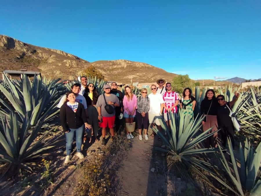 Check out Hierve el Agua, Mitla, the Tule Tree, Rugs, and a Mezcal Distillery Tour - Timing, group size, and comfort
