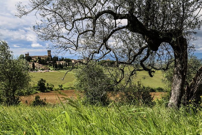 Chianti Delights: A Tale Of Two Wineries With A Vineyard Dinner - What arrives at the Tuscan dinner table