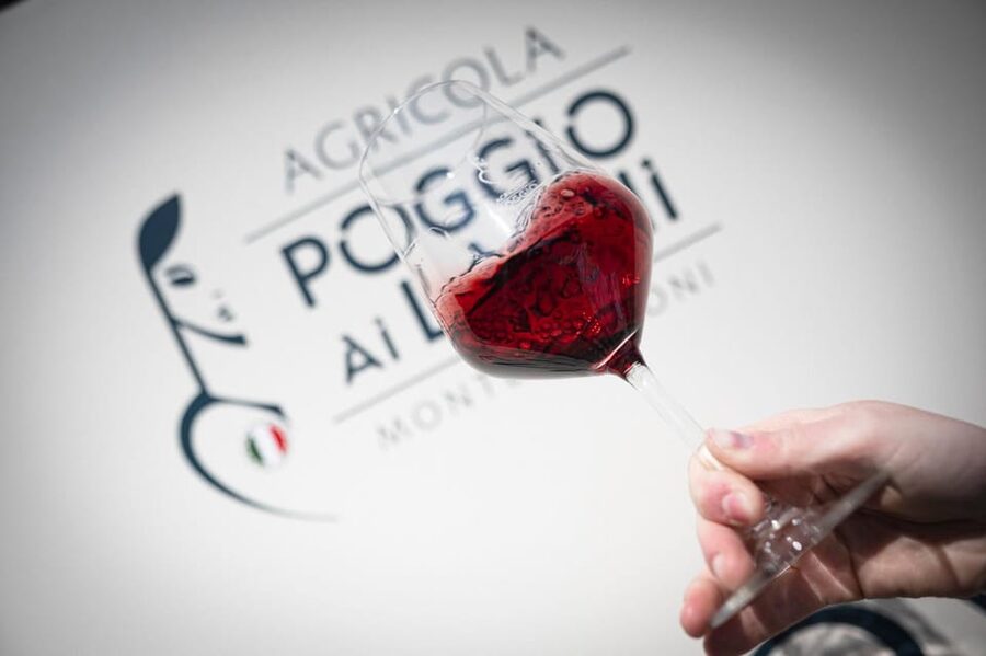 Chianti: Lunch with Wine Tasting at Poggio ai Laghi Winery - What this experience does not include