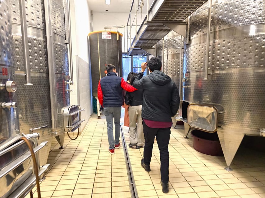 Chianti: Vineyard to Bottle Winery Visit with Tastings - Should you book Casa Sola Winery?