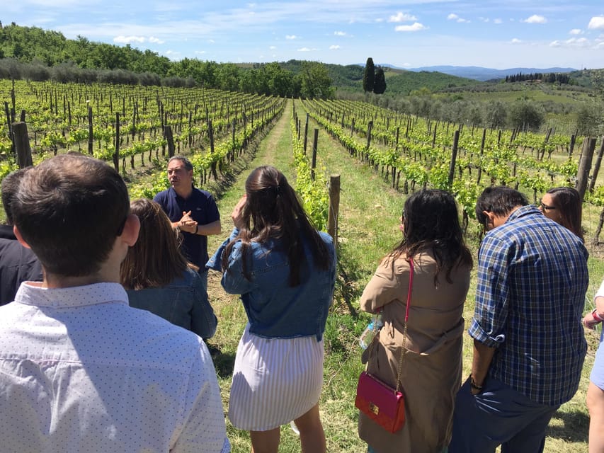 Chianti: Vineyard to Bottle Winery Visit with Tastings - Vin Santo, olive oil, and Tuscan bread