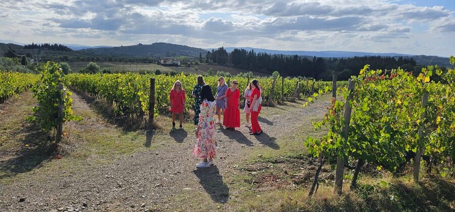 Chianti: Vineyard to Bottle Winery Visit with Tastings - Who will enjoy this Casa Sola visit