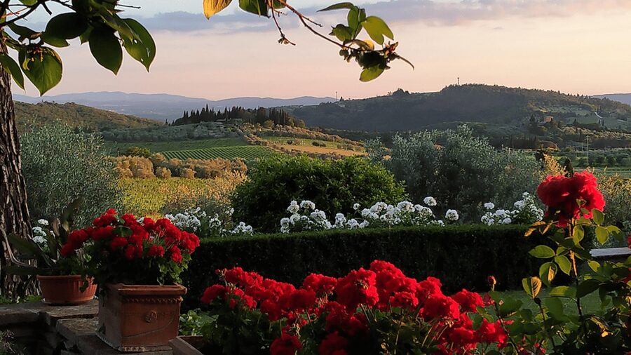 Chianti: Vineyard to Bottle Winery Visit with Tastings - Walking through Chianti vines and olive fields