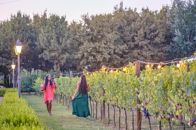 Chianti Vineyards Escape from Florence with Two Wine Tastings - What the five-hour schedule feels like