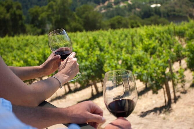 Chianti Wine Tour from Florence - The coach, group size, and guide style