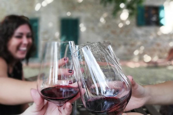 Chianti Wine Tour with Tuscan Lunch Open Top Van - Lunch at Fattoria di Luiano