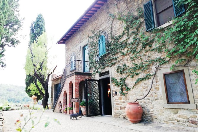 Chianti Wine Tour with Tuscan Lunch Open Top Van - What makes the two wineries worth comparing